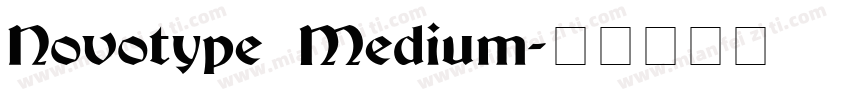 Novotype Medium字体转换